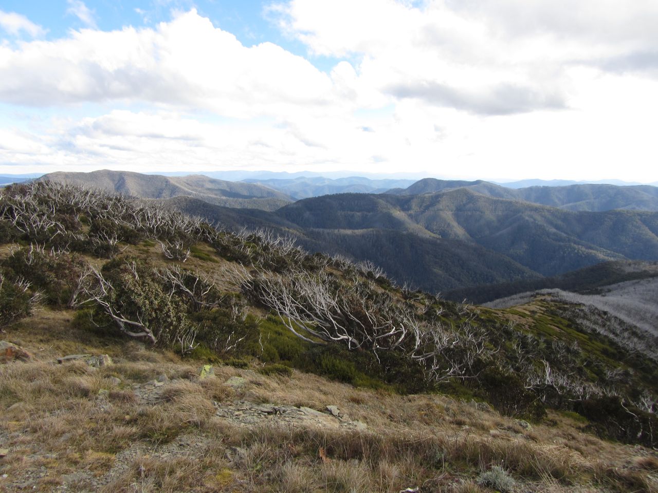 First frame of a high country panorama.